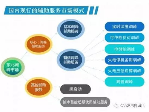 我国现行的电力辅助服务市场模式及展望——兼论计算机软硬件零售的潜在赋能